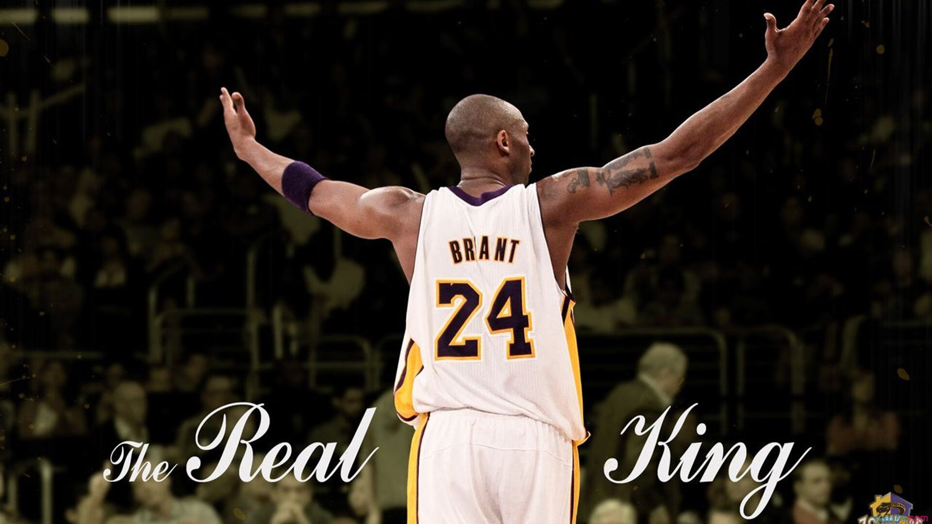 开云APP-加克波的舞台魔力，当瑞典鏖战贝蒂斯，光芒因挑战而璀璨