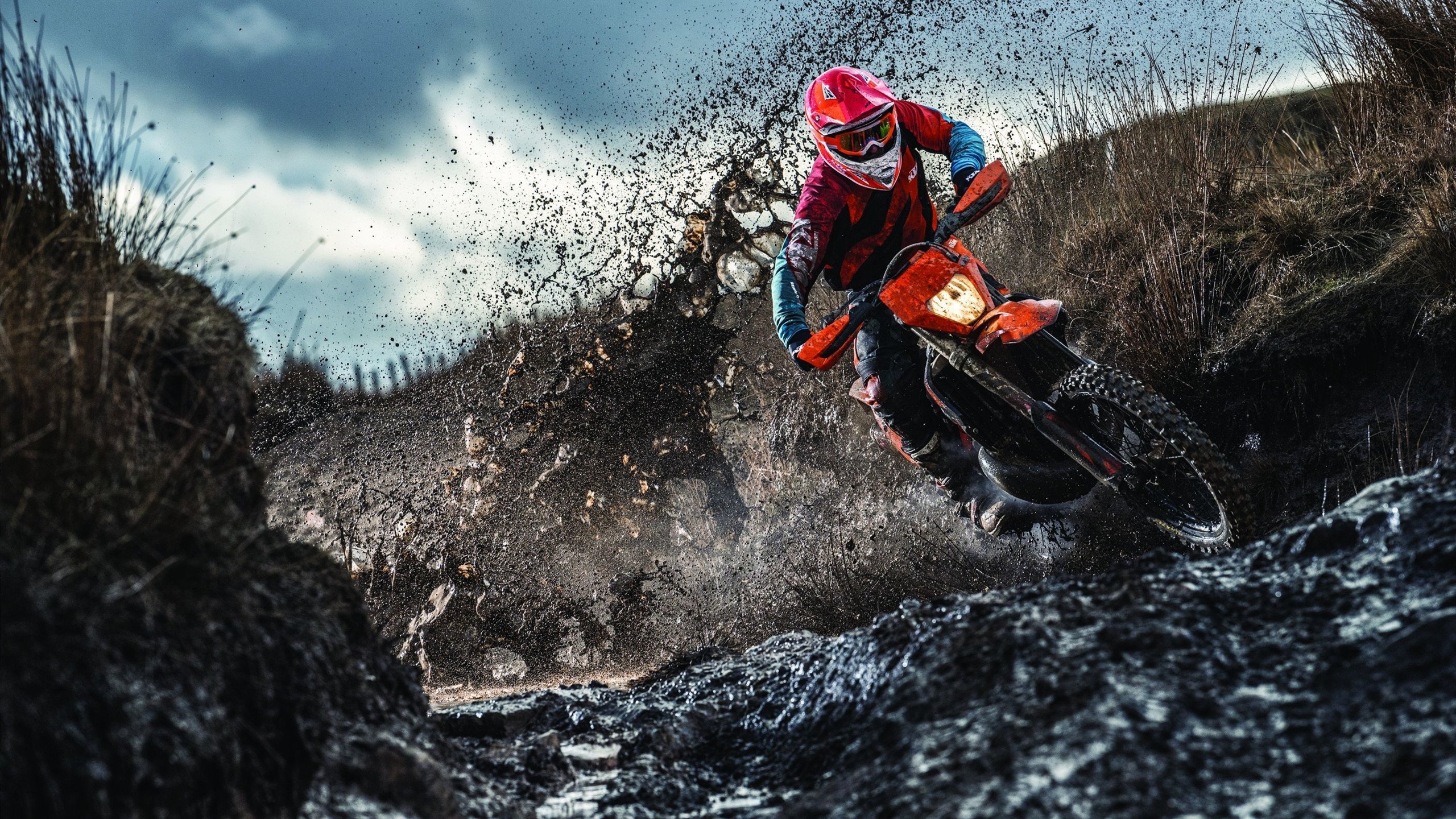 开云体育-当叛徒回家，阿尔及利亚之血冲垮马赛，巴雷拉在西决生死战完成血腥加冕